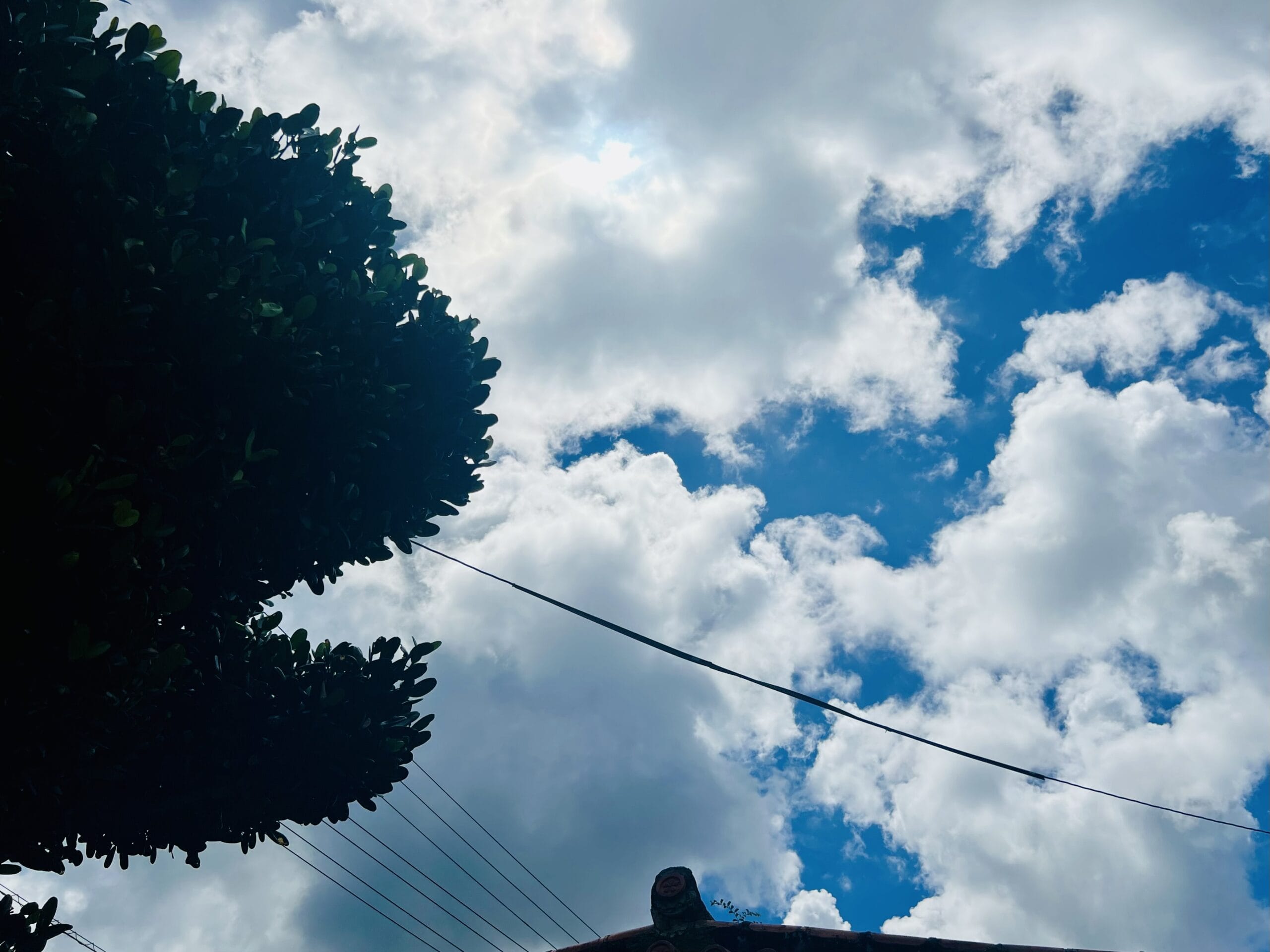 【H＆M】【H&M】残暑に映えるリボン付きチュニックドレス「Tie-detail tunic dress」TB icoco