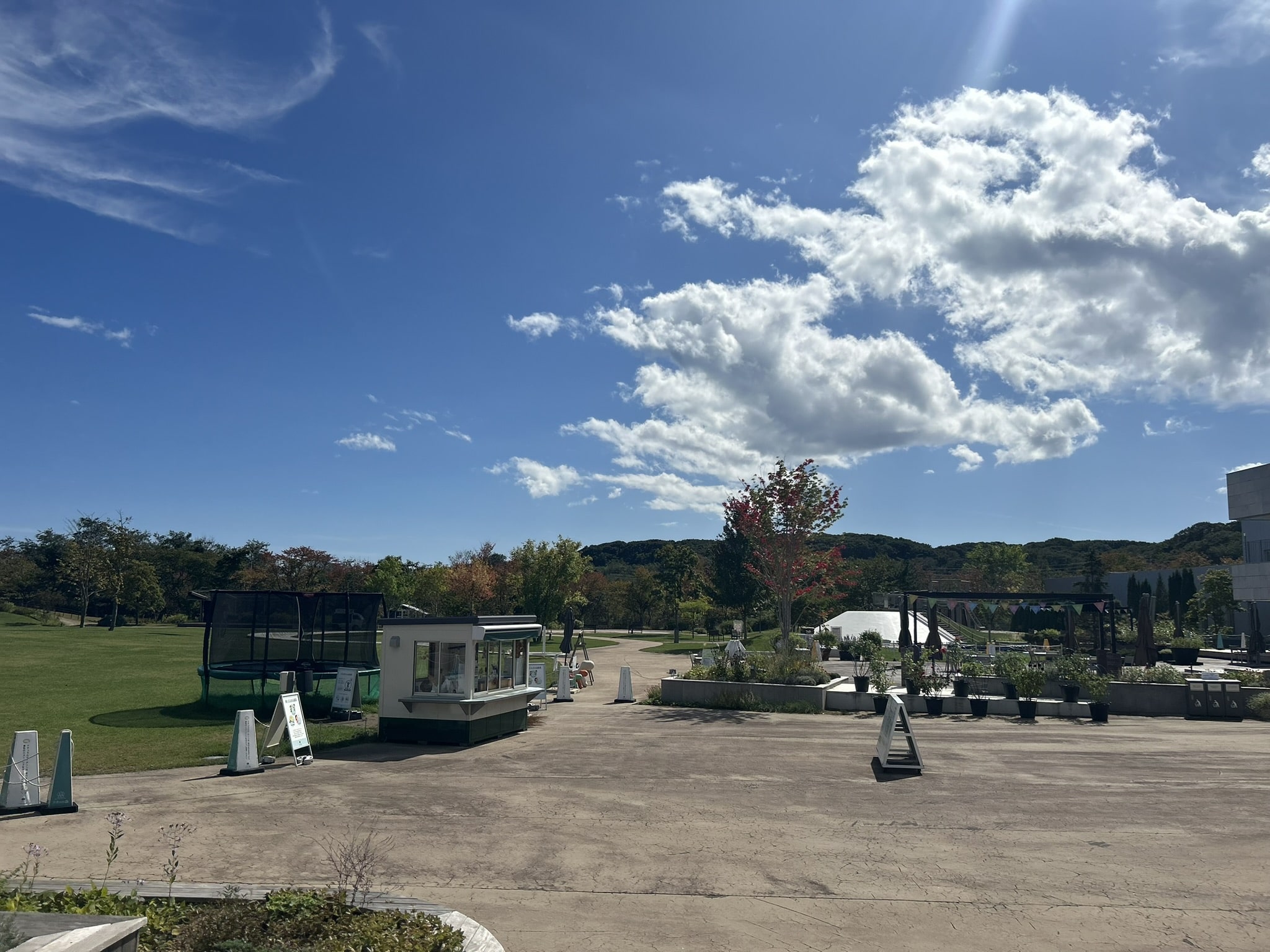 北海道・白老町虎杖浜にある「ナチュの森」