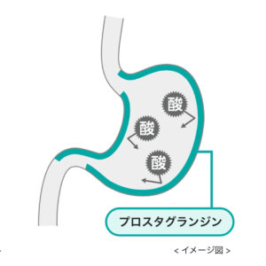 プロスタグランジン