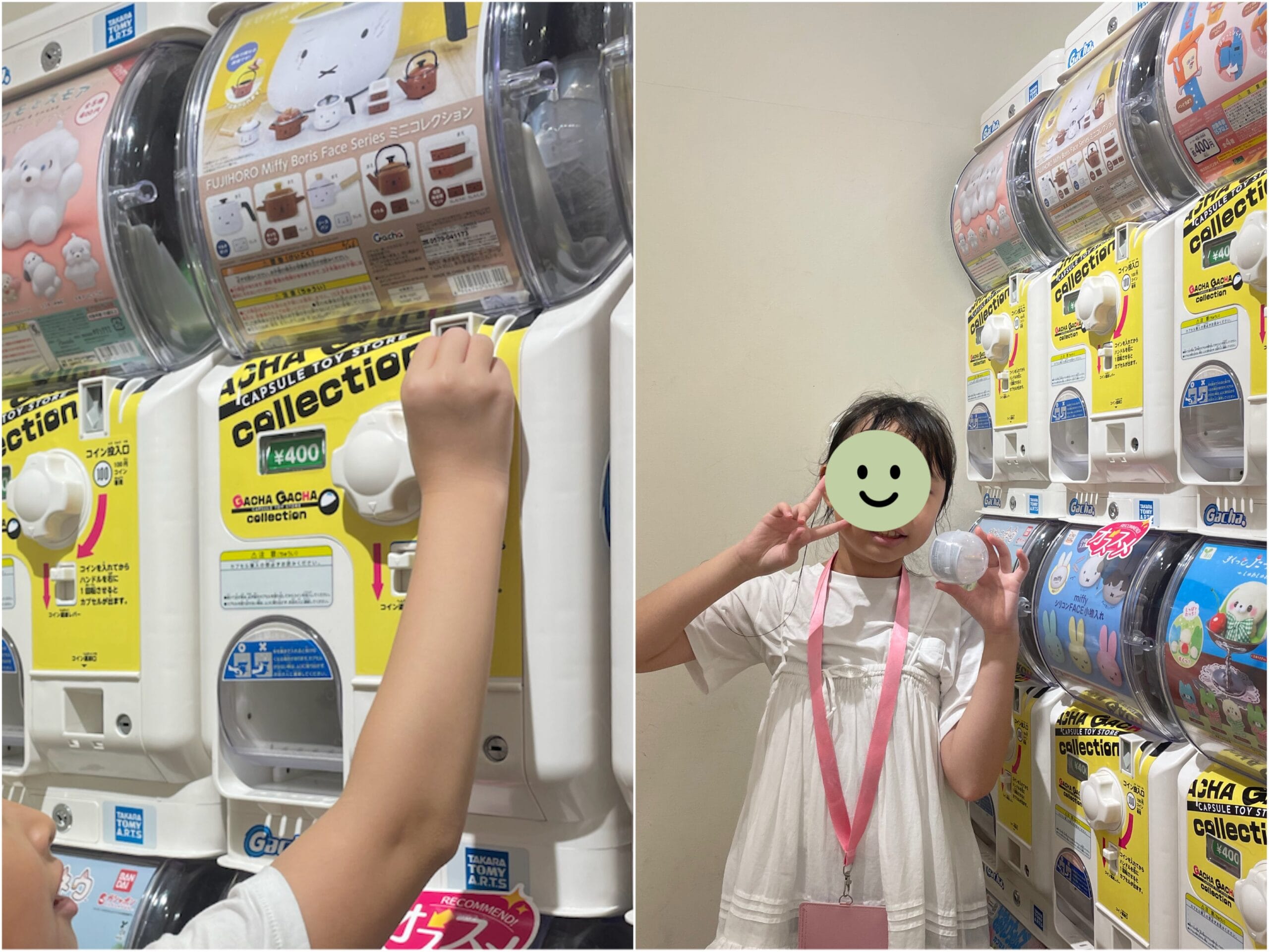 FUJIHORO Miffy Boris Face Seriesミニコレクションのガチャ