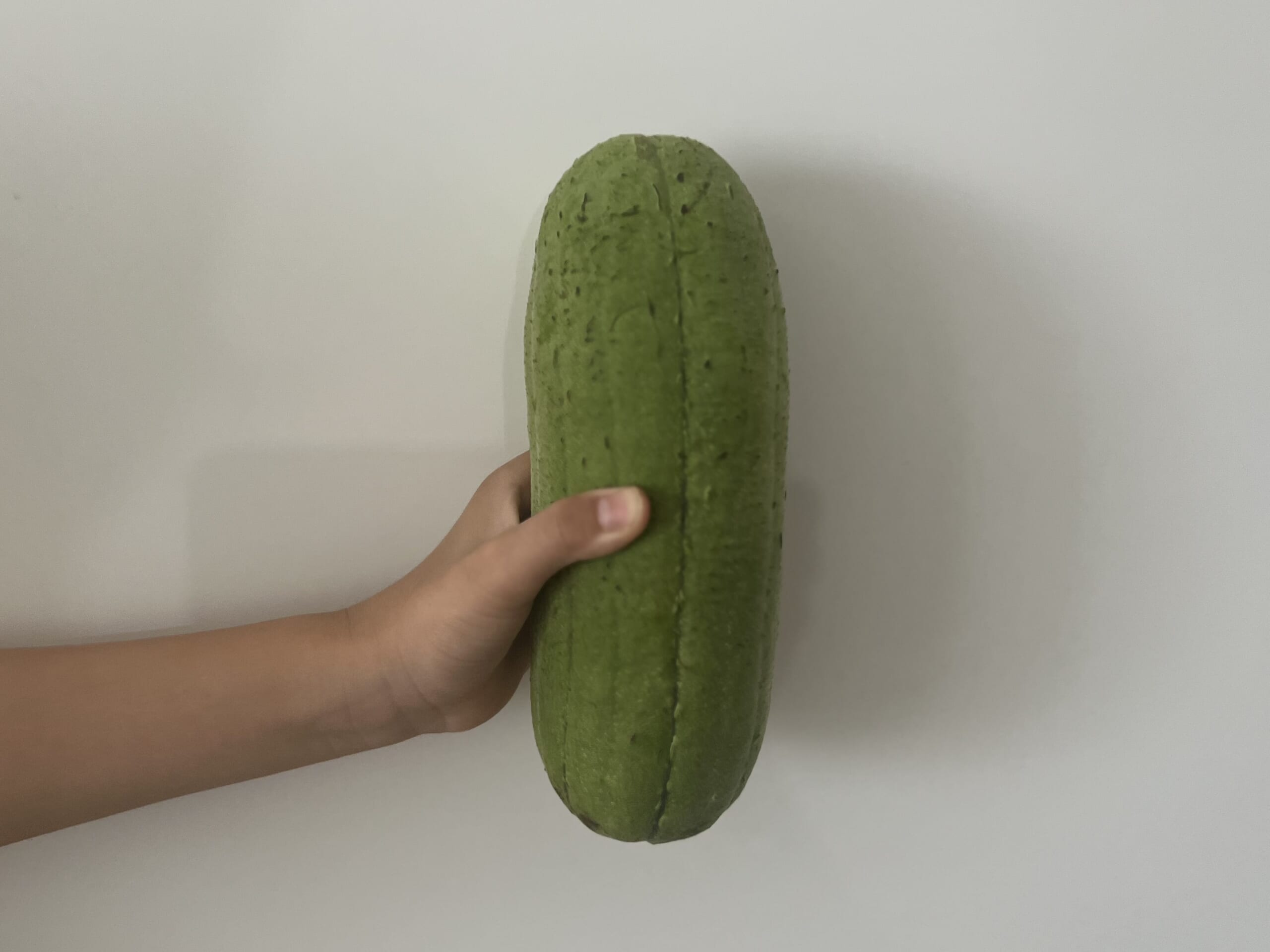 【沖縄】へちま料理「ナーベーラーンブシー」作りました TB icoco