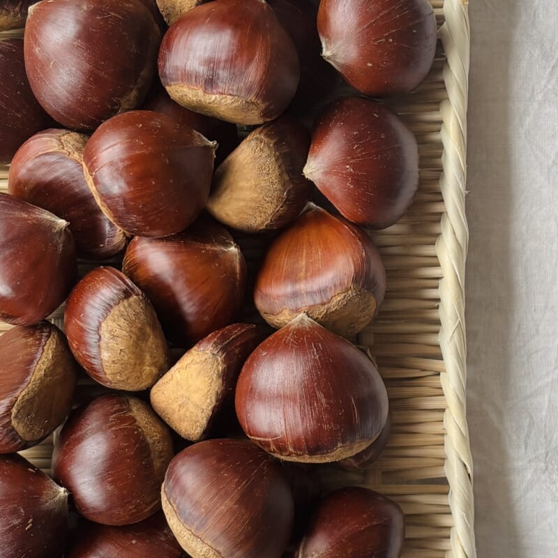 ざるに載せた笠間の栗