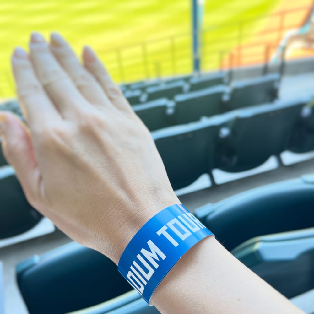 エスコンフィールド　野球　北海道