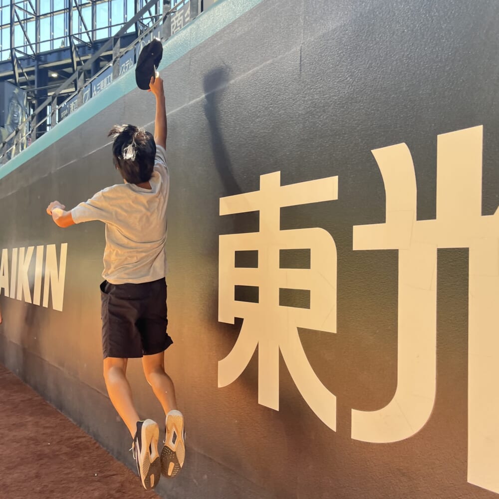 エスコンフィールド　野球　北海道