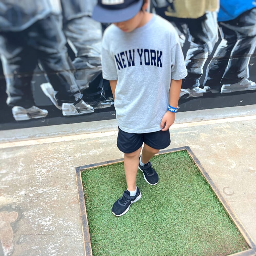 エスコンフィールド　野球　北海道