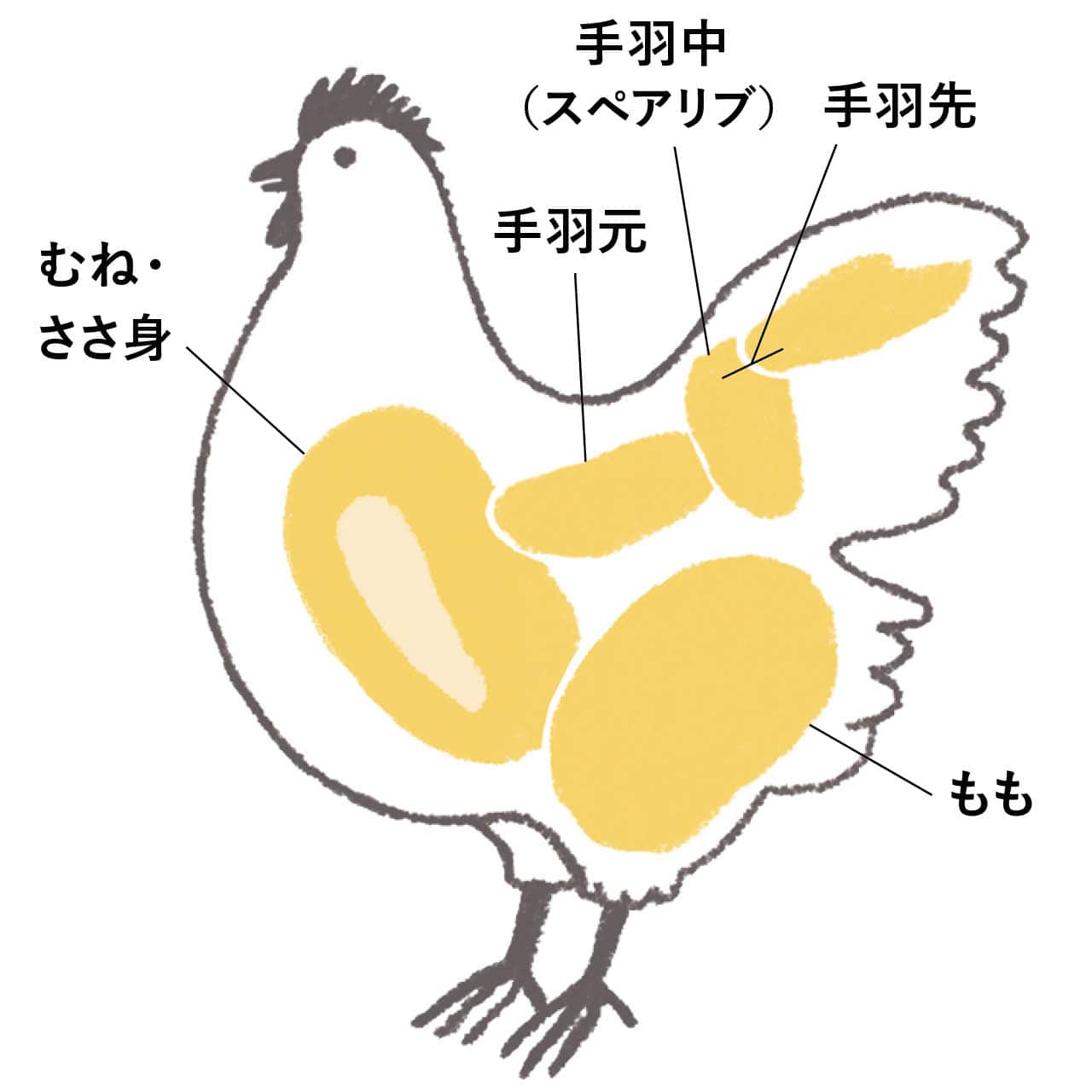 鶏の部位