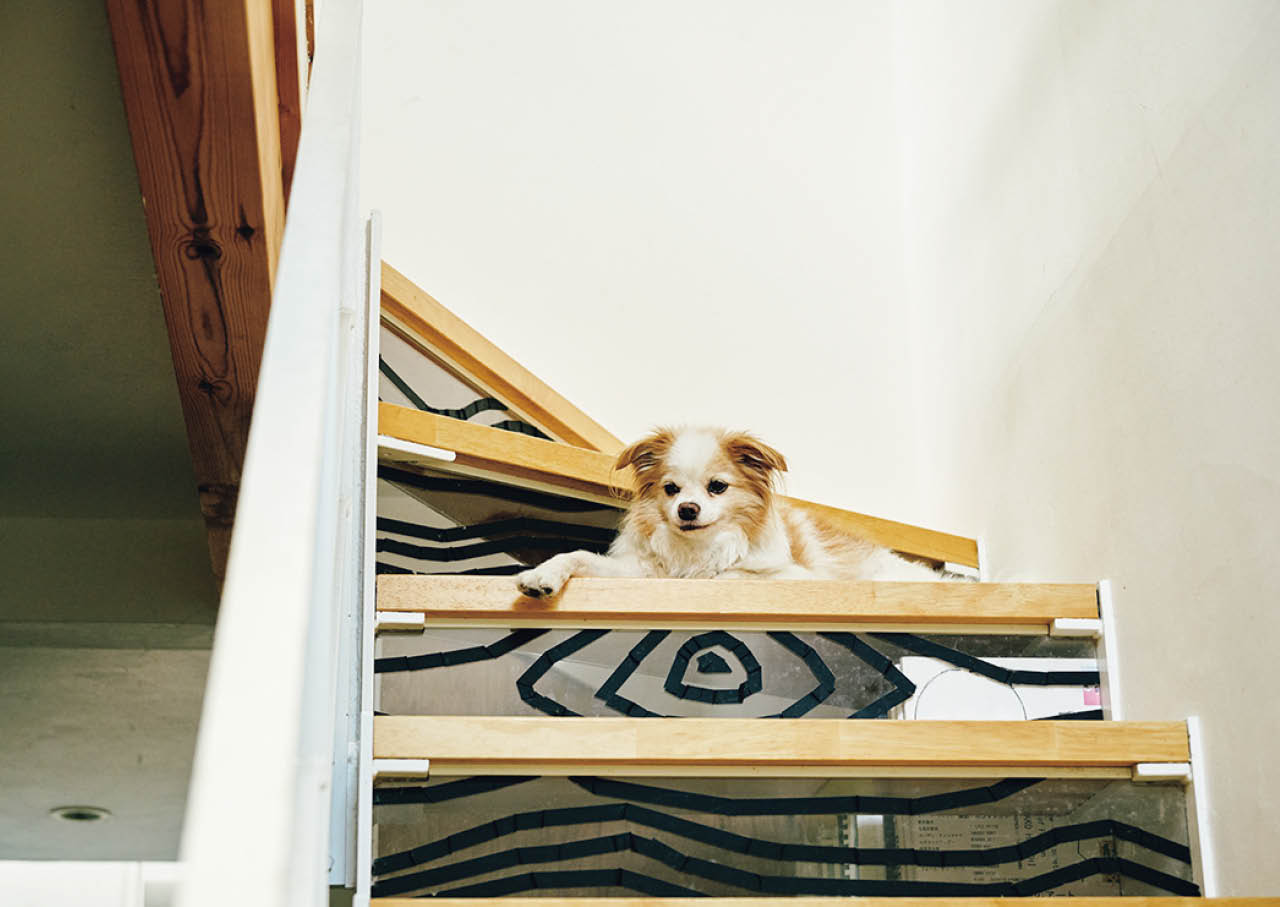 段と段の間の垂直部分が空いたオープン階段は、おいもが滑って落ちないように後からアクリル板を設置。黒のテープで年輪のようなアートを。