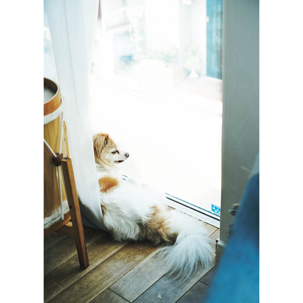 床からの全面ガラス窓に顔をくっつけ、外の様子を観察。