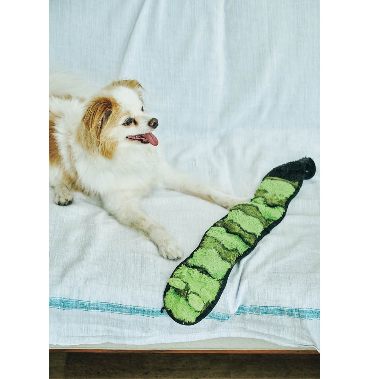 おいもが1歳から愛用している蛇形おもちゃ。