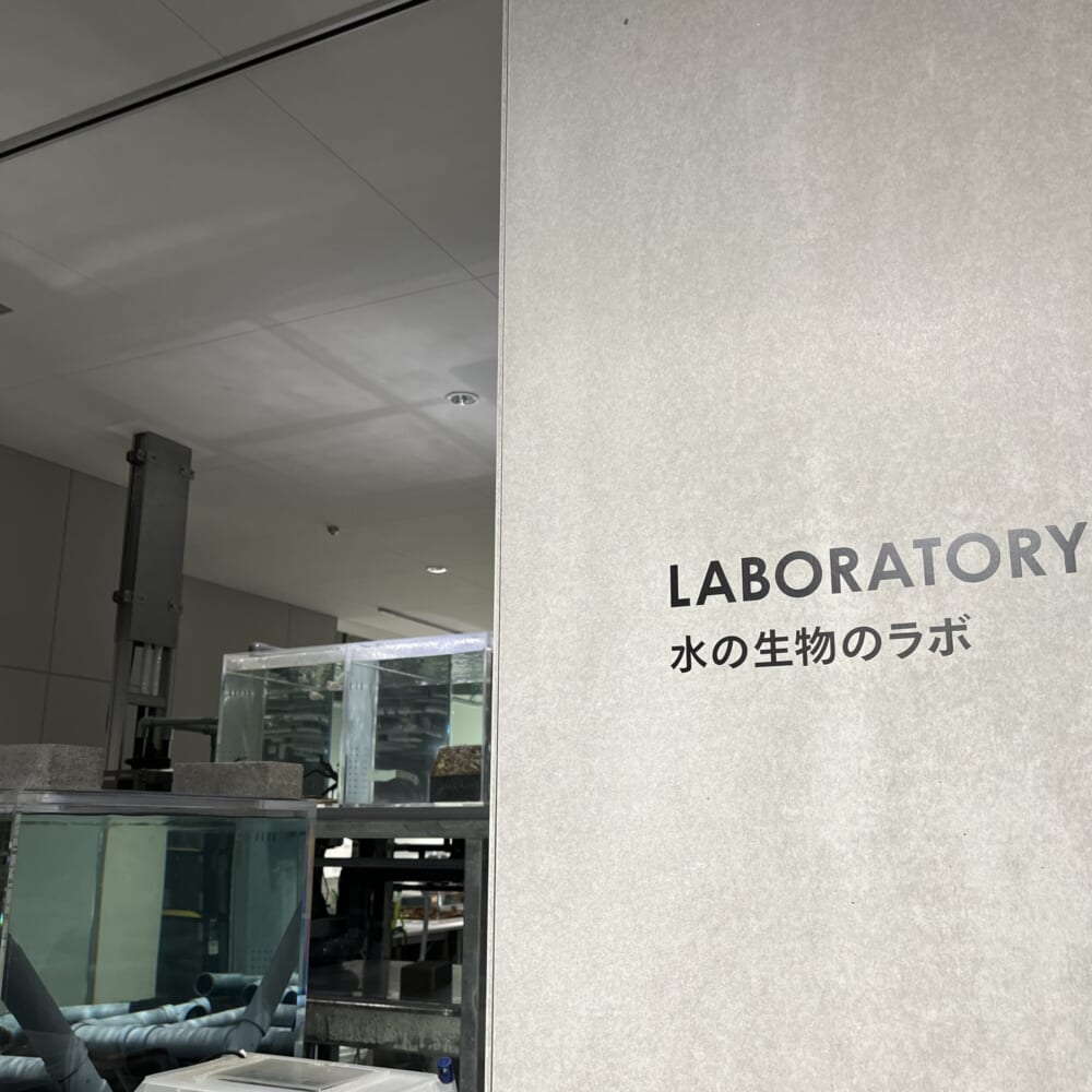 札幌　水族館　aoao