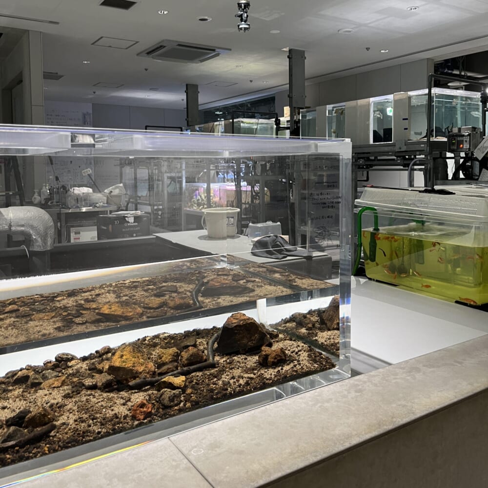 札幌　水族館　aoao