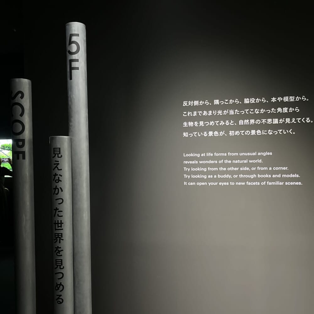 札幌　水族館　aoao