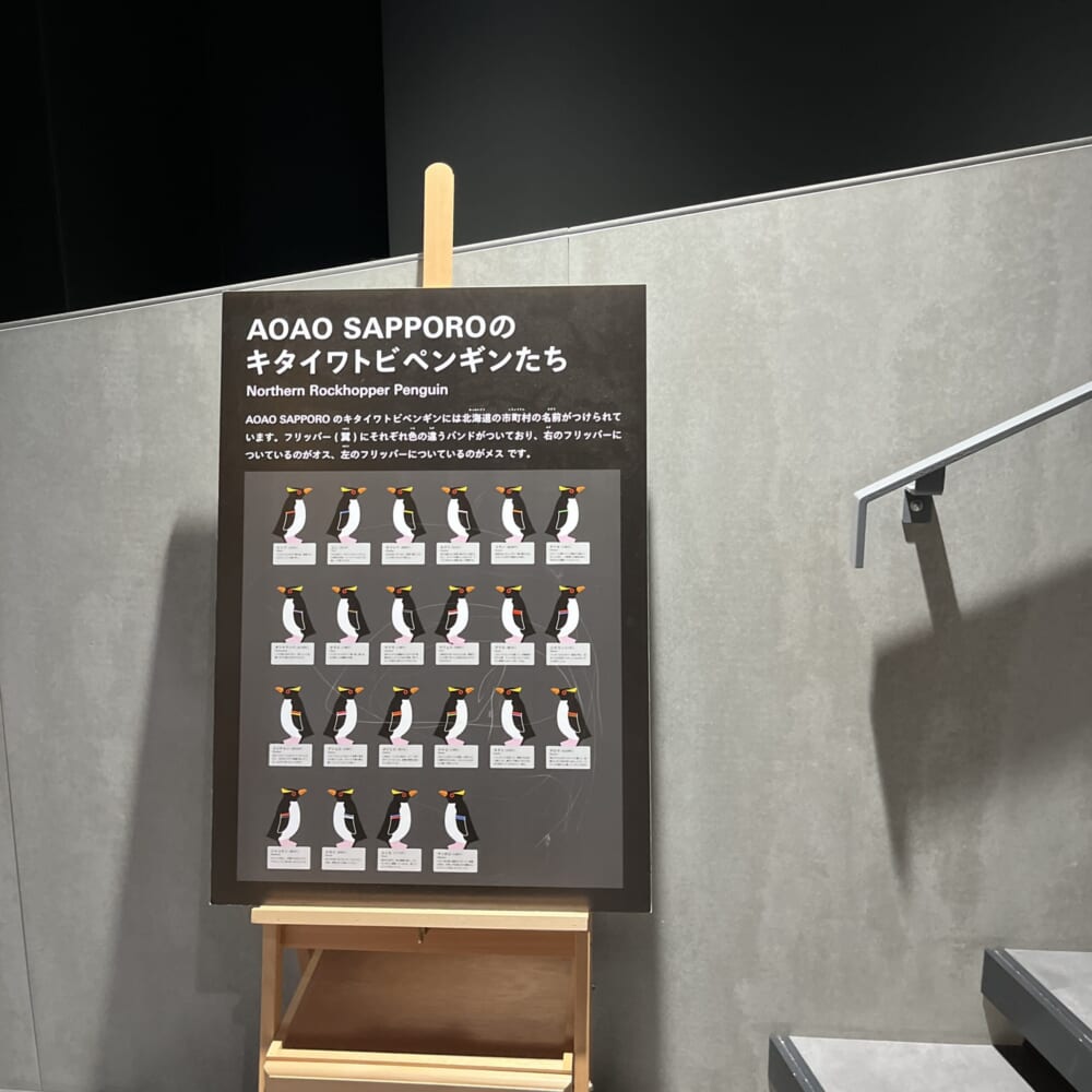 札幌　水族館　aoao