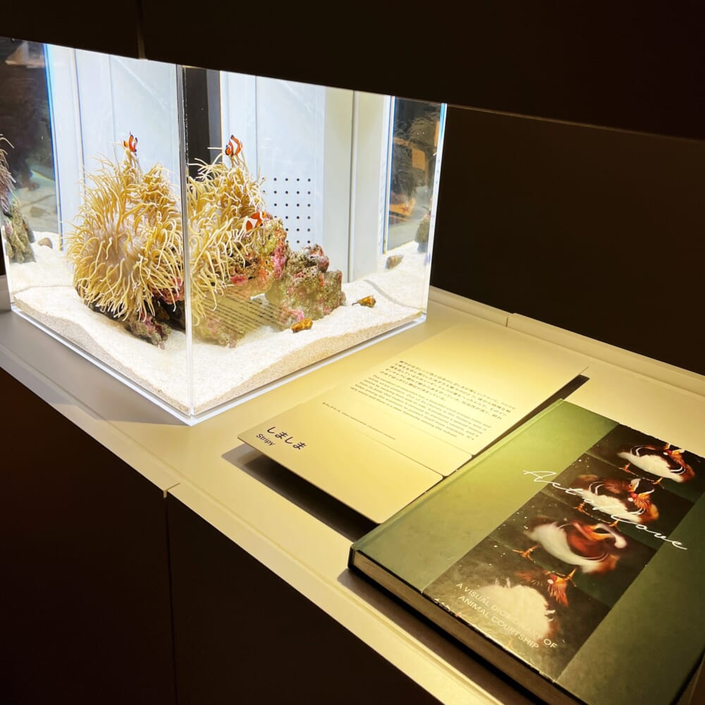 札幌　水族館　aoao