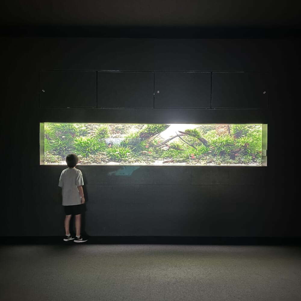 札幌　水族館　aoao