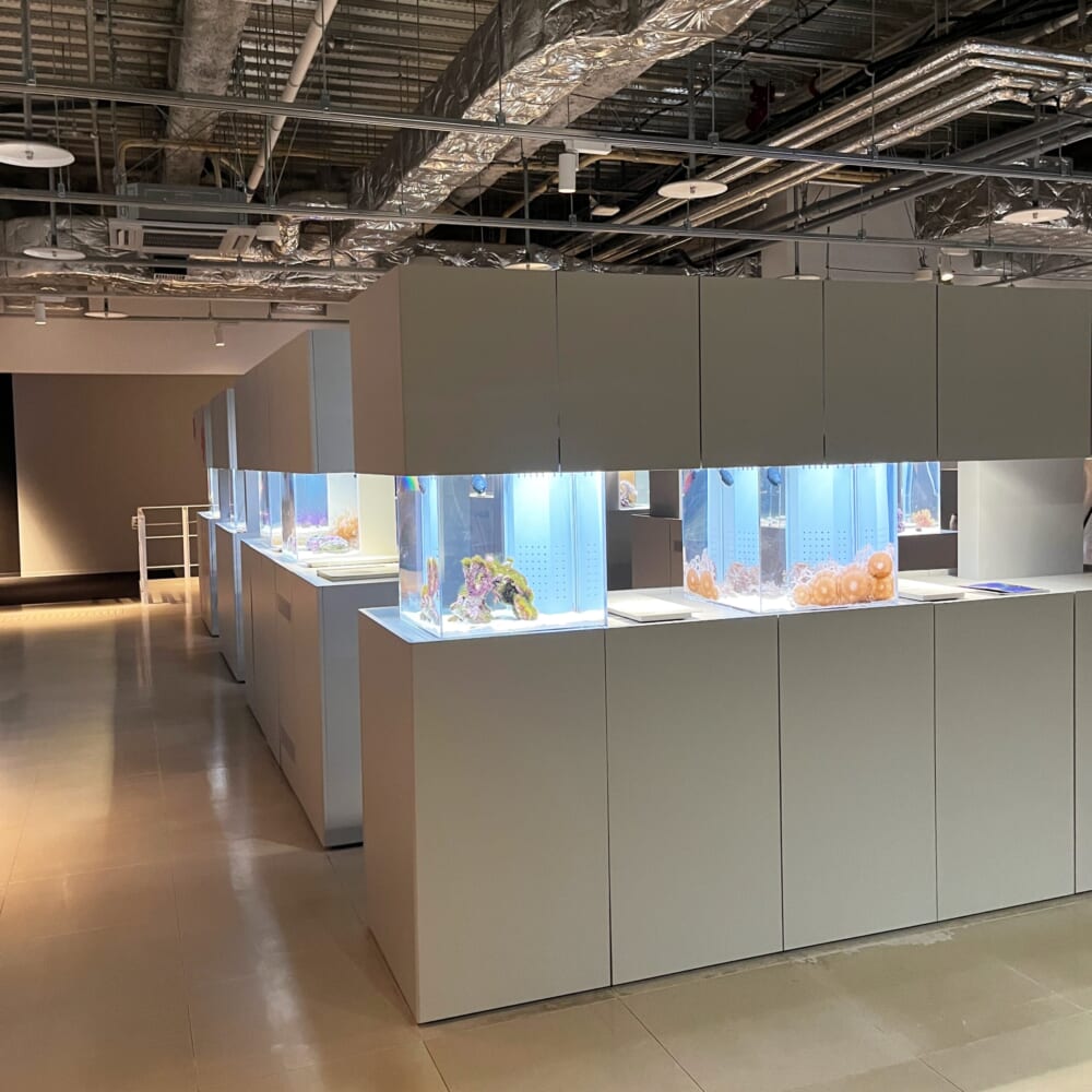 札幌　水族館　aoao