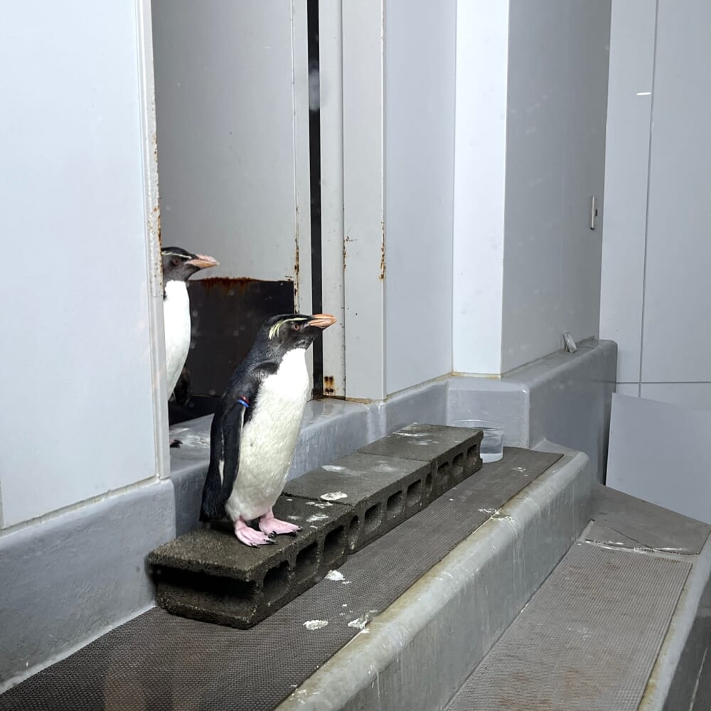 札幌　水族館　aoao