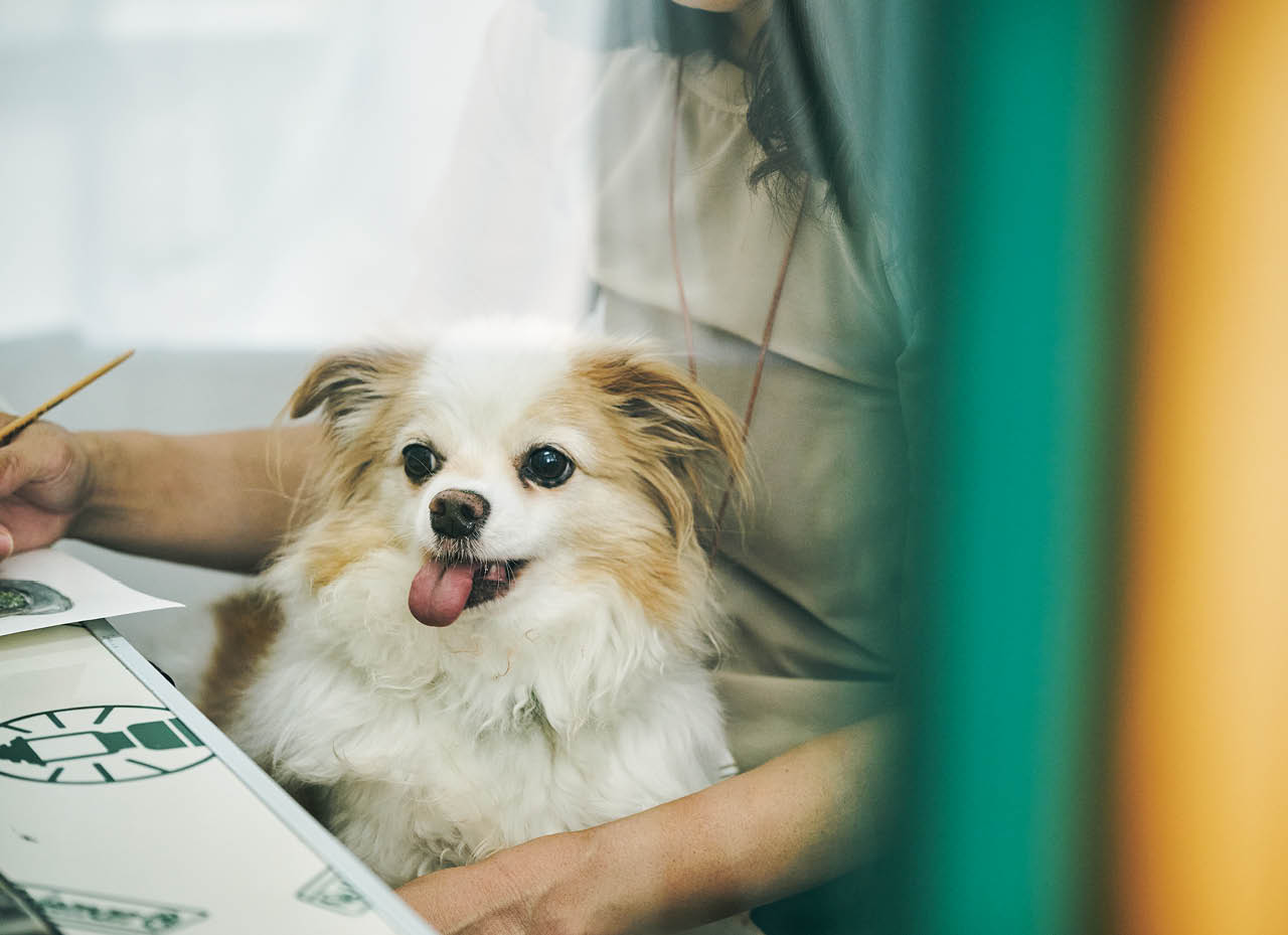 ペンをとると、最近はひざの上でくつろぐことも。