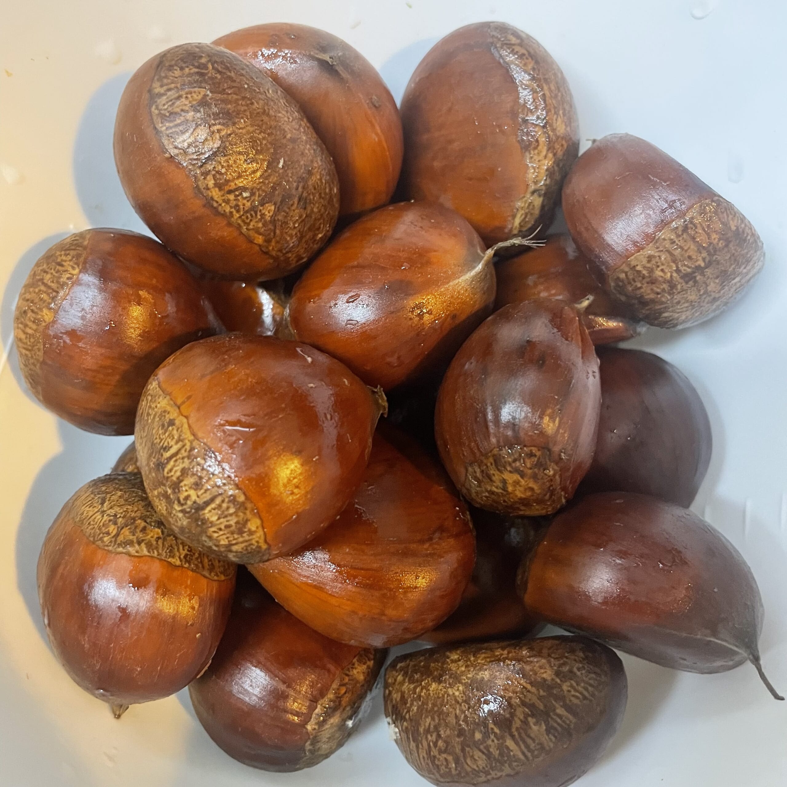 水に一晩漬けた後の栗