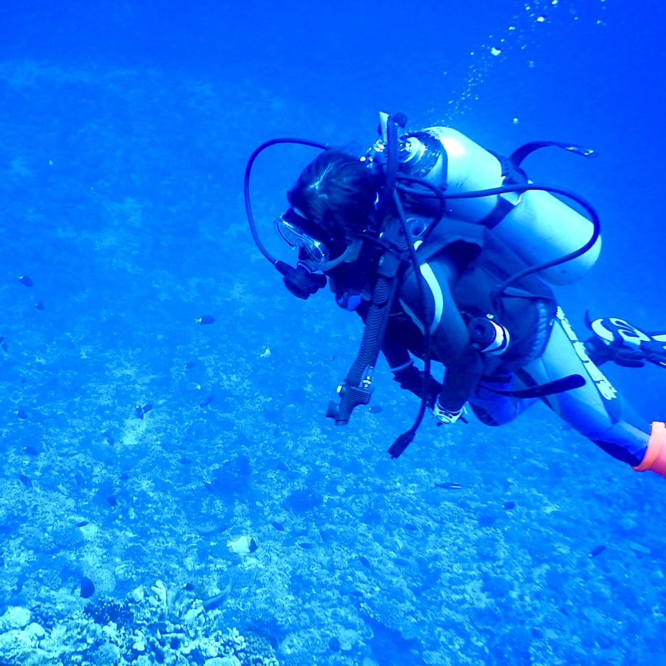 海　ダイビング