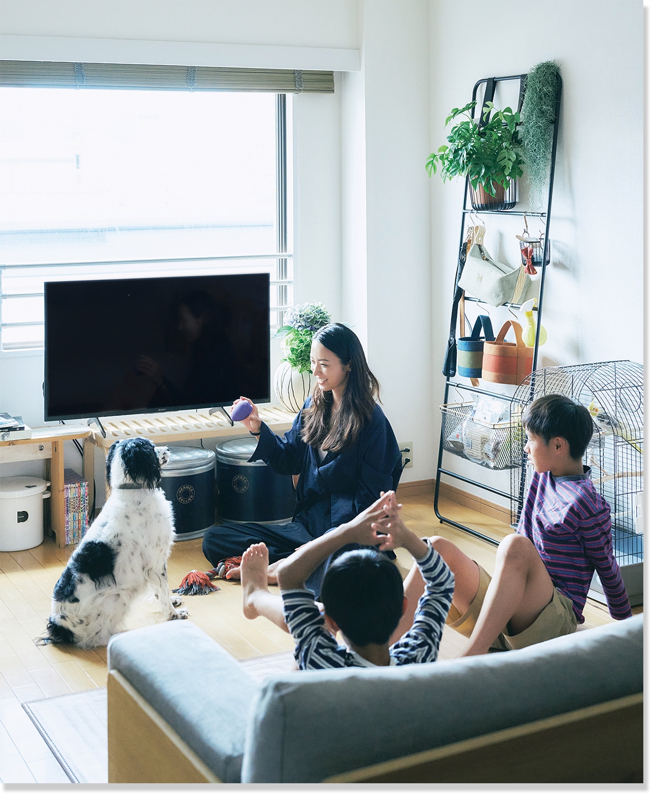 LEE11月号『みんなが心地よい「犬と暮らす部屋」』牧野紗弥さんの犬との暮らし