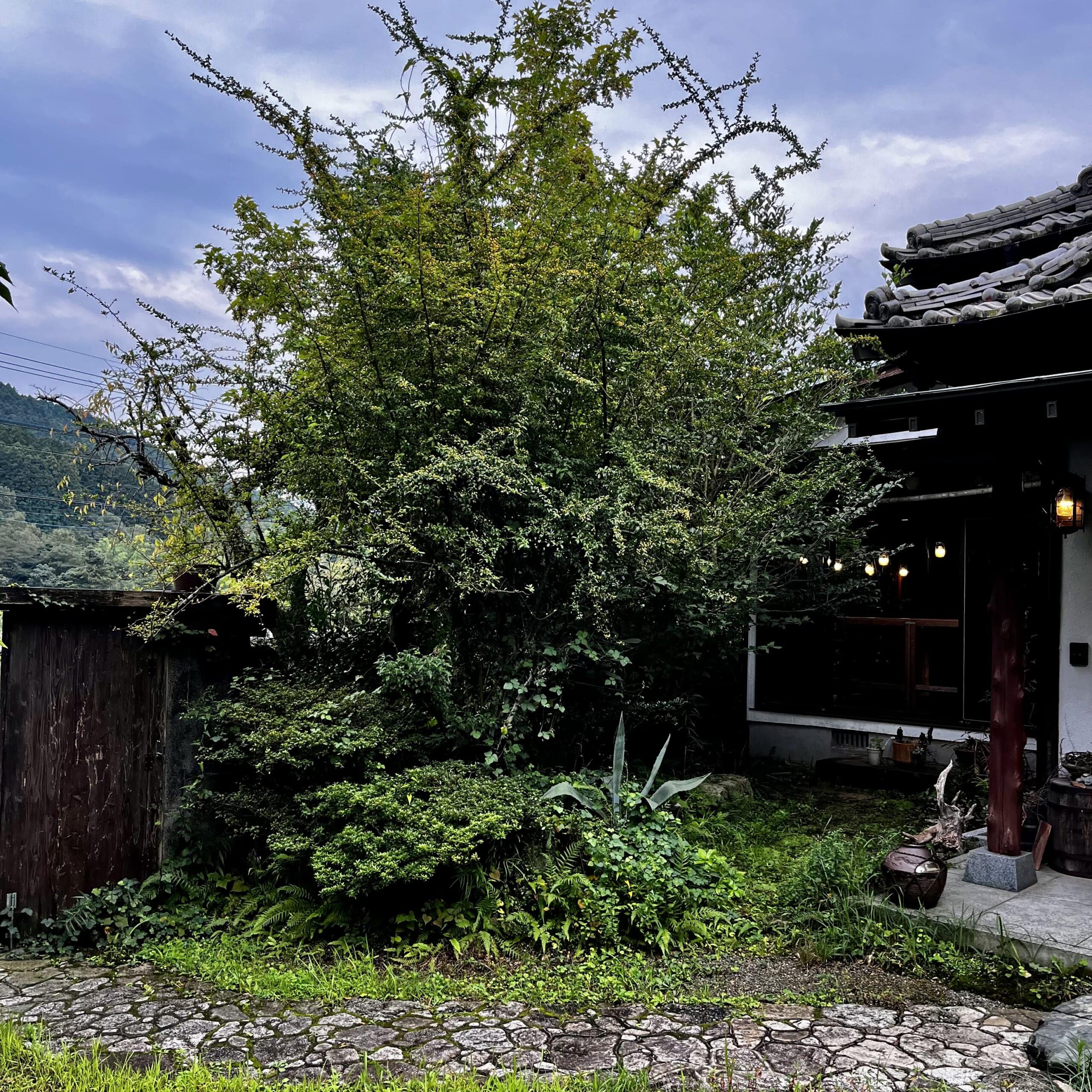 古民家　カフェ