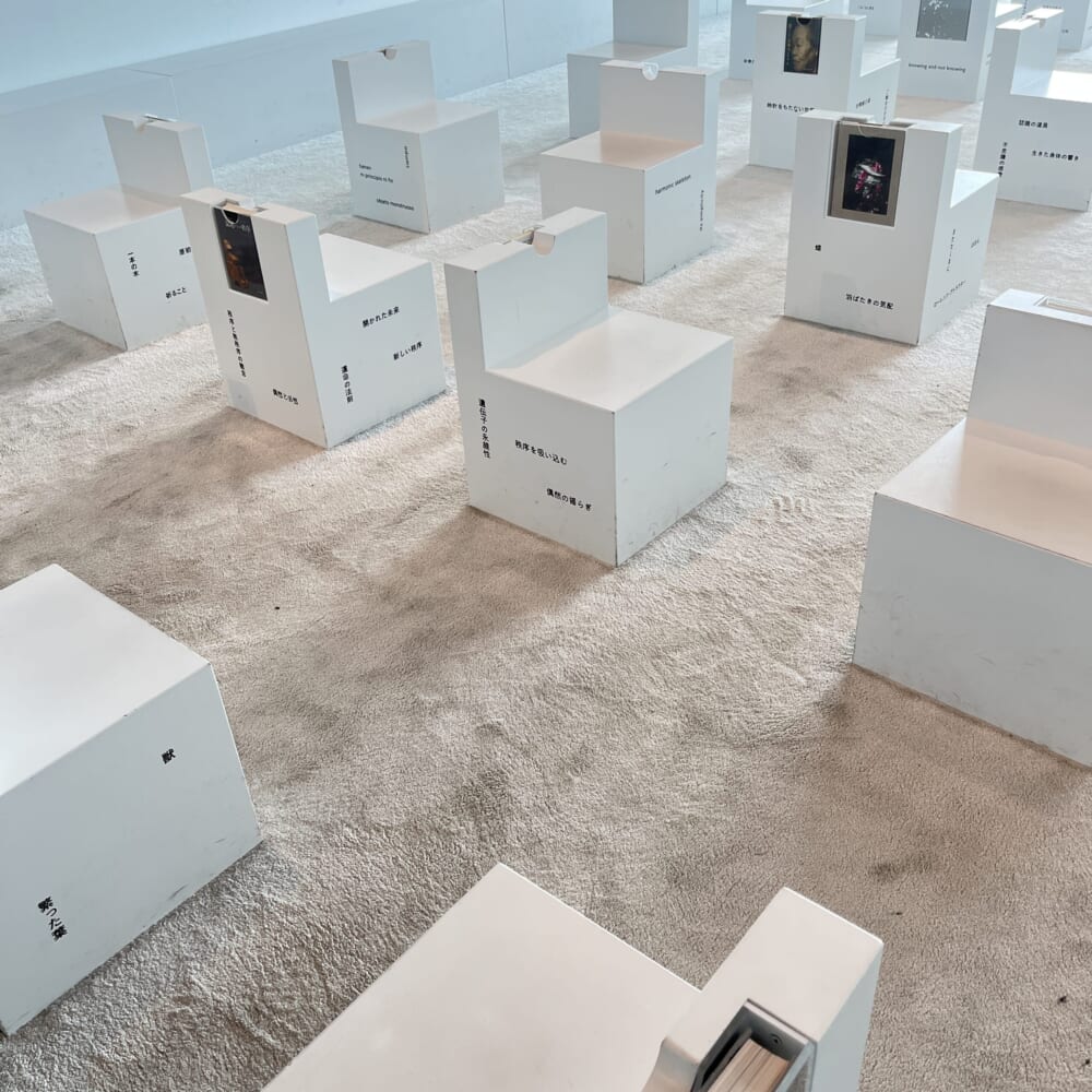 藤本壮介　森美術館　建築