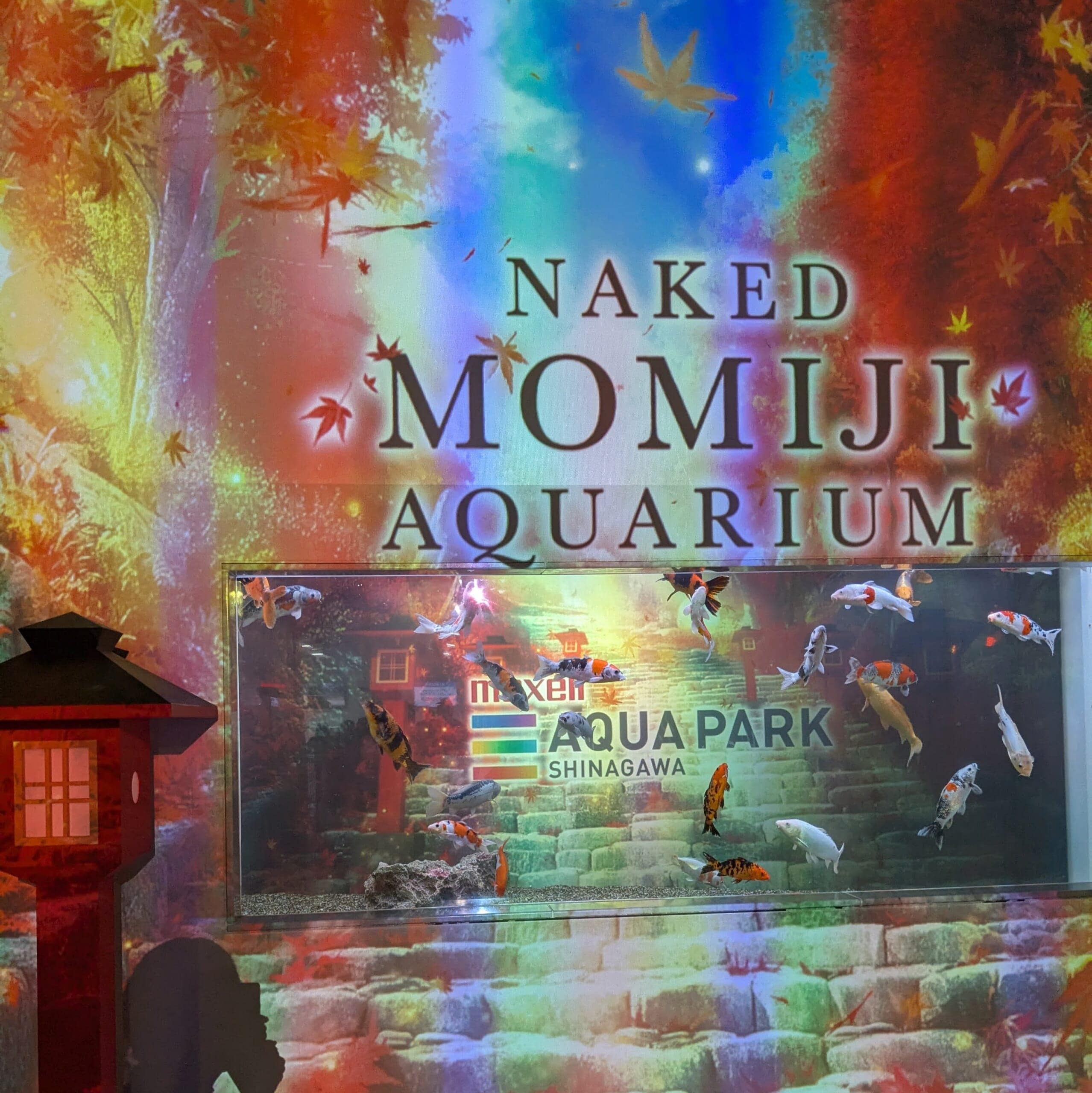 マクセル　アクアパーク品川