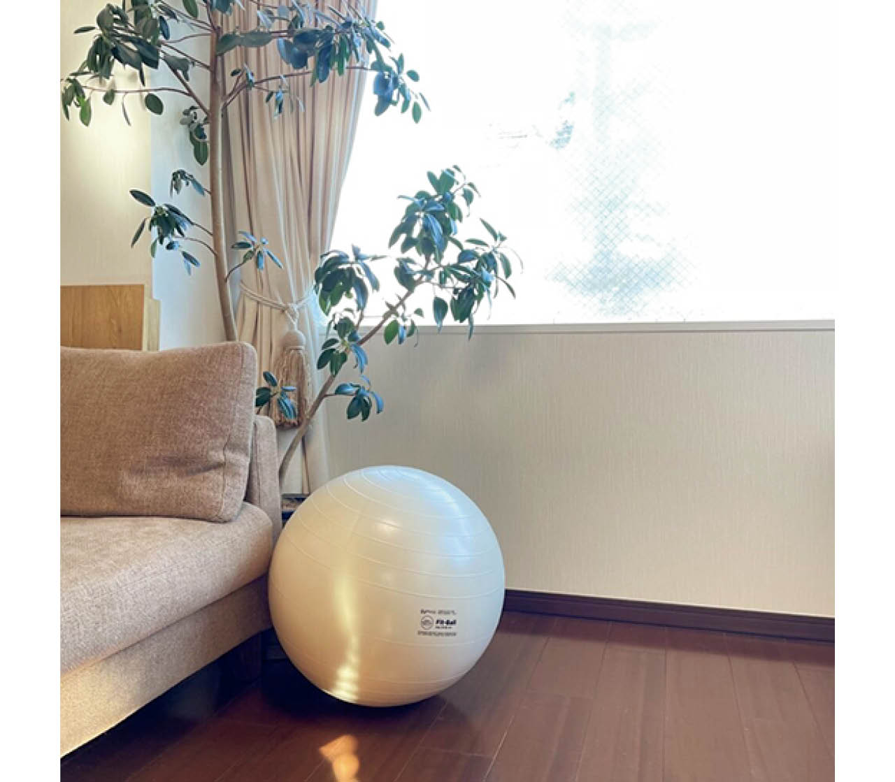 リビングに出しっぱなしOK。習慣化できるバランスボール