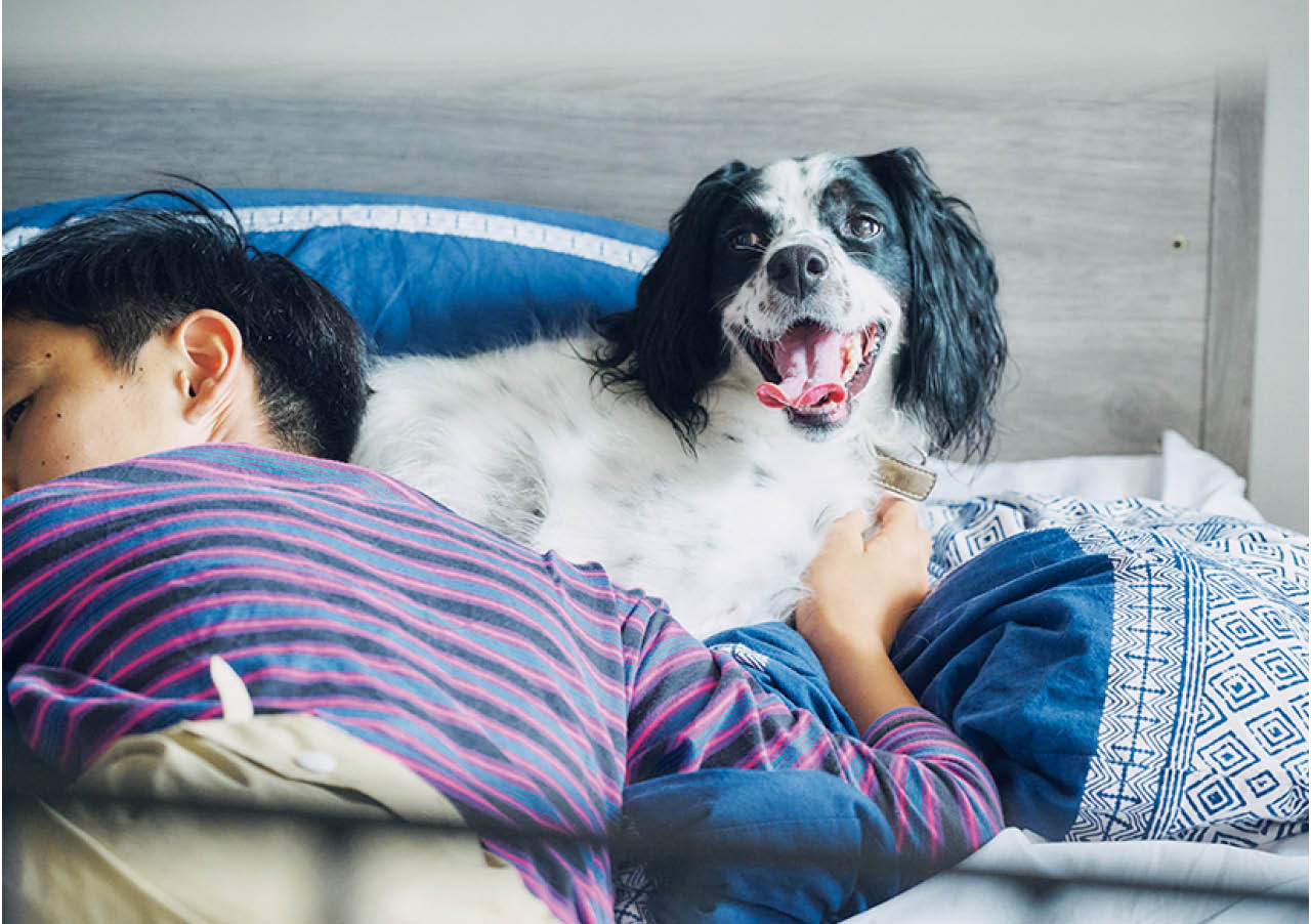 兄弟が眠る2段ベッドはケージのすぐ裏。寝食をともにする距離感が、子どもたちの癒しにも。