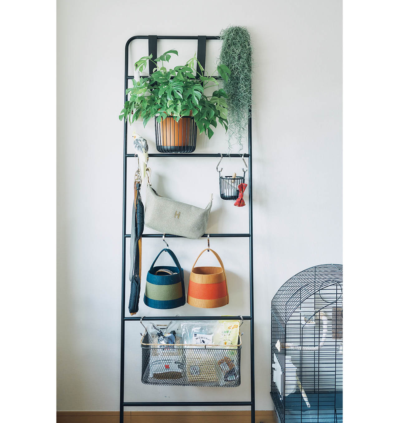 ステンレス製のラダーハンガーに「エルメス」のバッグをかけ、アニーのおもちゃや散歩に使うリード、おやつ類などをまとめて〝見せる収納〞に。