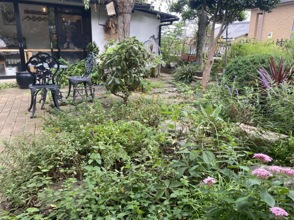 100人隊デート 埼玉