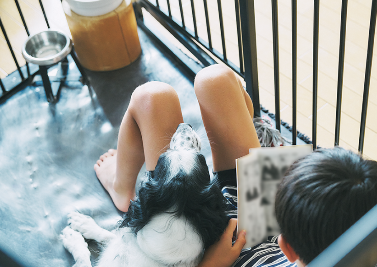 時には人間がケージにお邪魔することも（！）。休日のほほえましい1コマ。