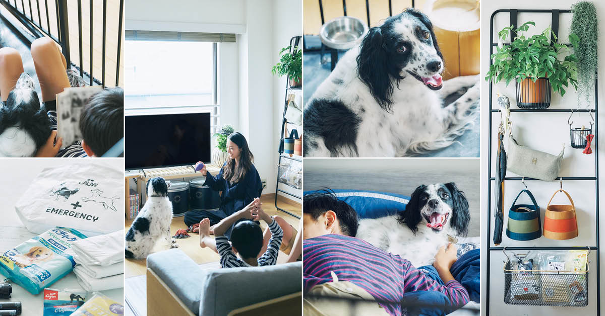 牧野紗弥さんとアニー（5歳・女の子）の「犬と暮らす部屋」