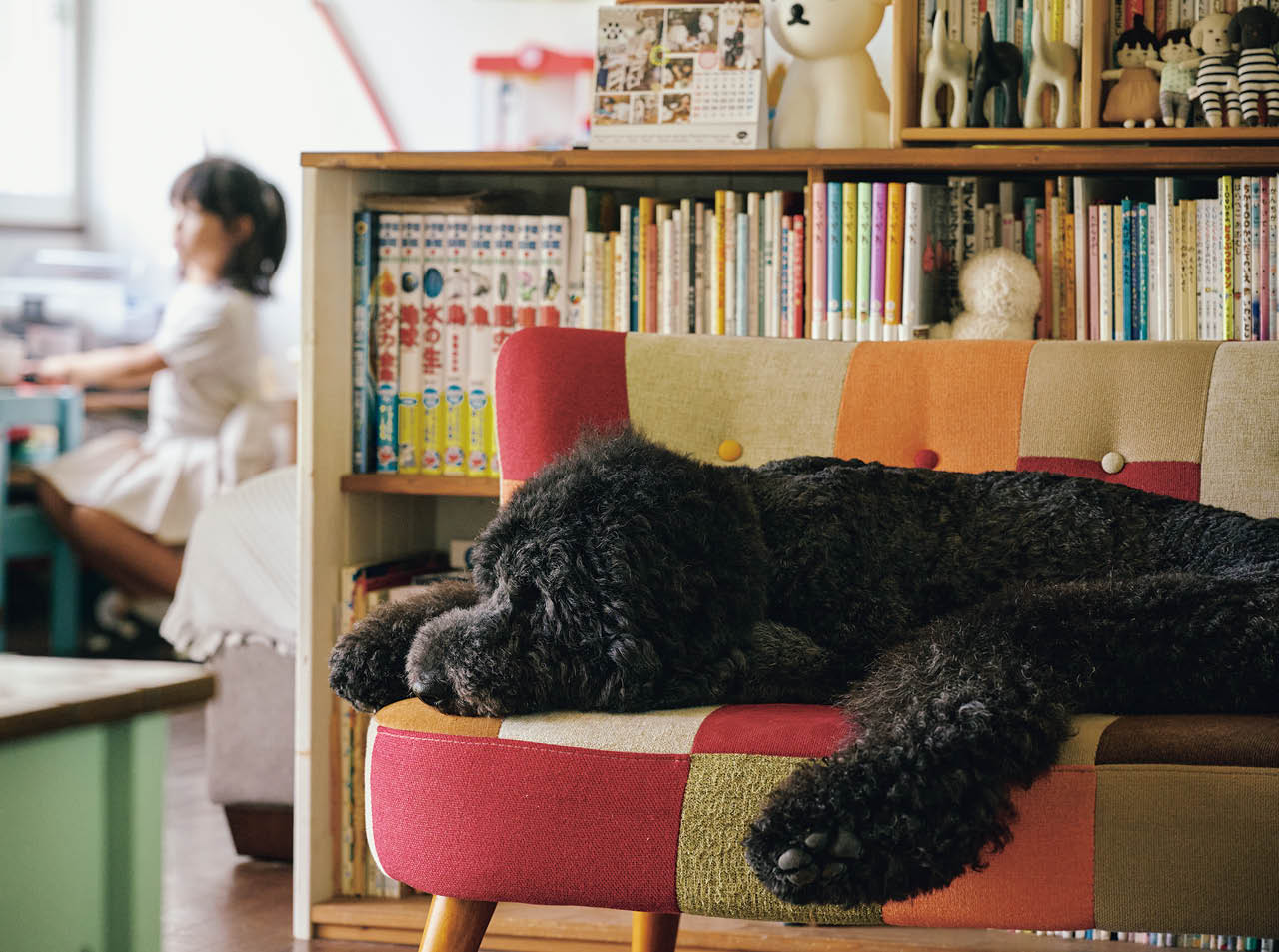 スタンダード・プードルが1匹寝そべるのにちょうどいいサイズのソファは、リビングとダイニングの様子を確認できる家の中心地。犬にも子どもにも人気のスポット。