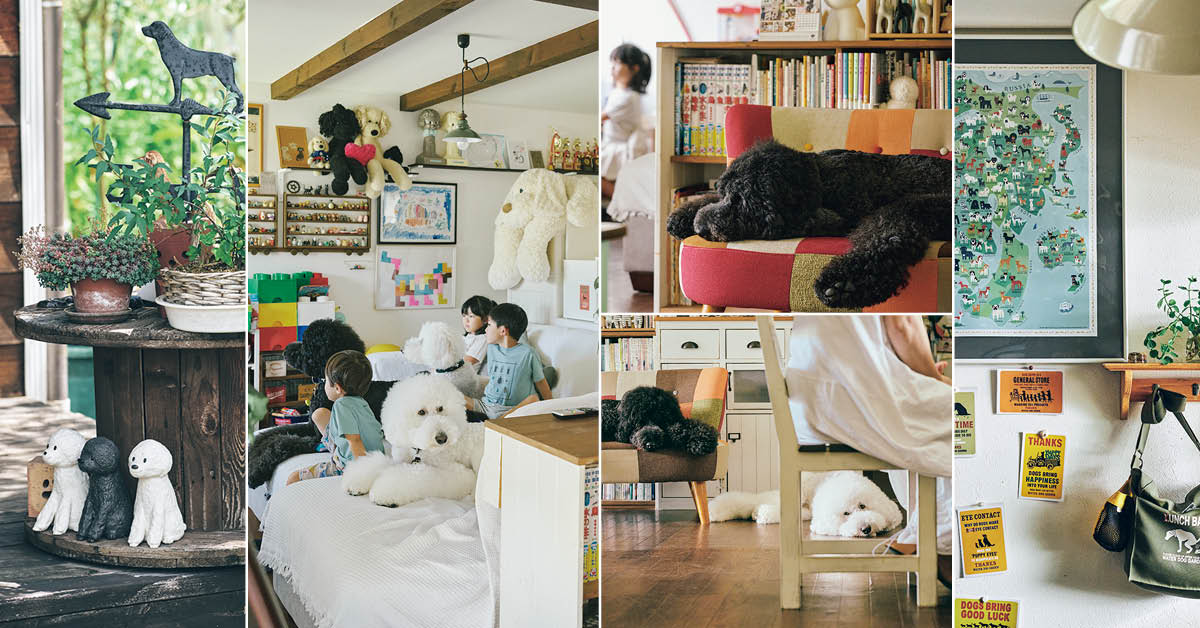 たまねぎさんと岳（８歳・男の子）、風（３歳・男の子）、雷（３歳・男の子）の「犬と暮らす部屋」