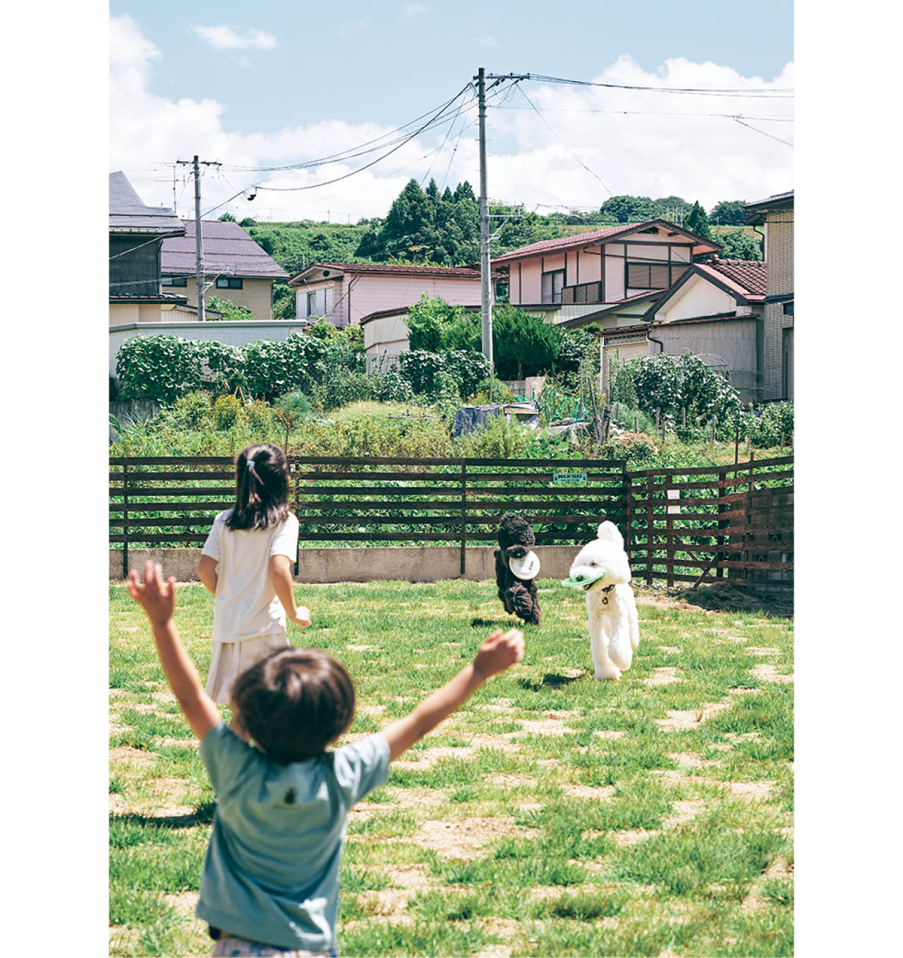 たまねぎさん夫婦の趣味は犬とのフリスビー。「家のわきで練習していると、孫も一緒に走り回っています」