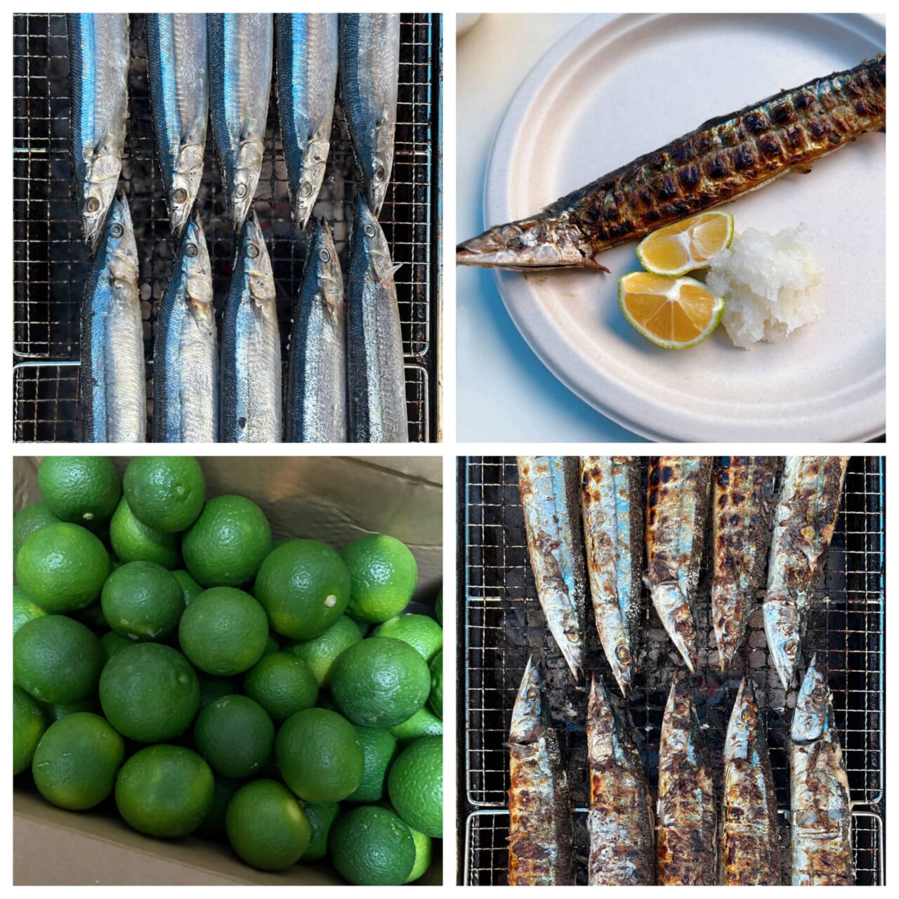 秋刀魚　かぼす　秋の味覚