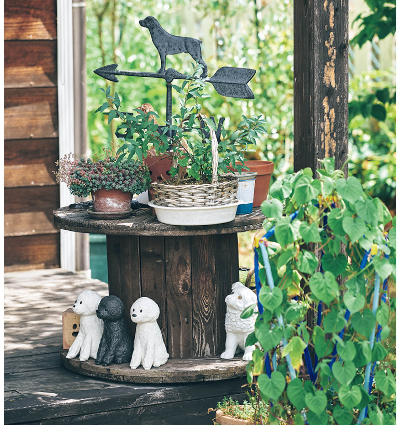 玄関先も犬の置き物がお出迎え。