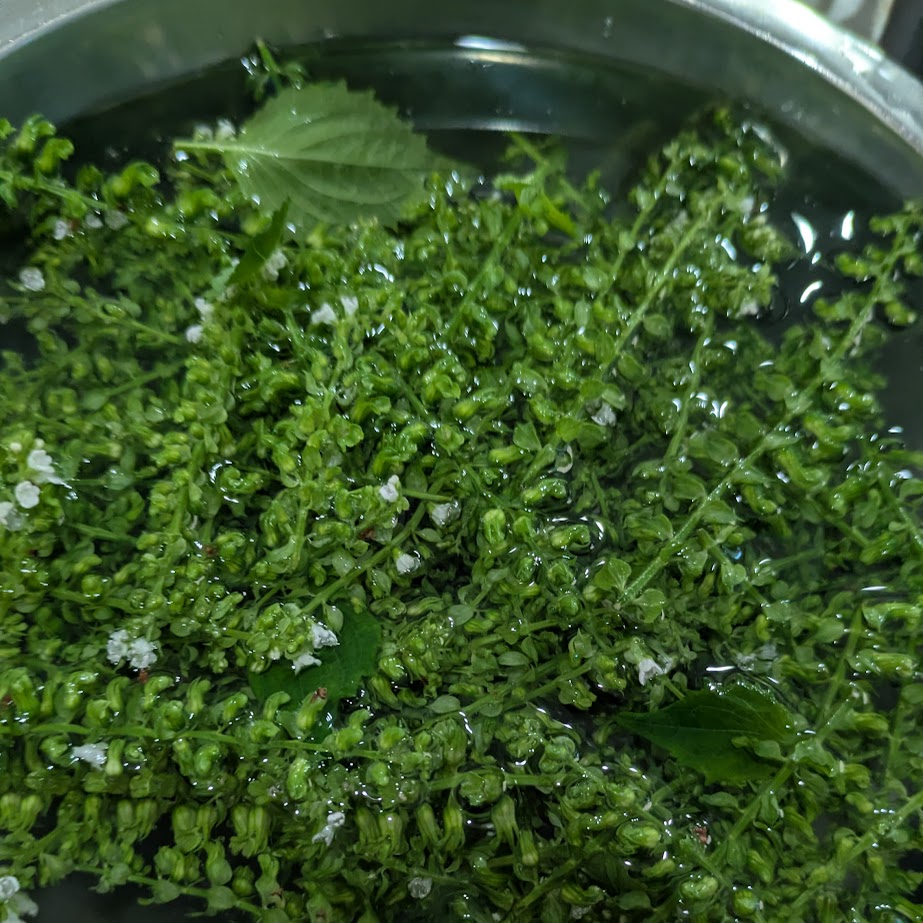 LEE100コポ　季節の手仕事　紫蘇