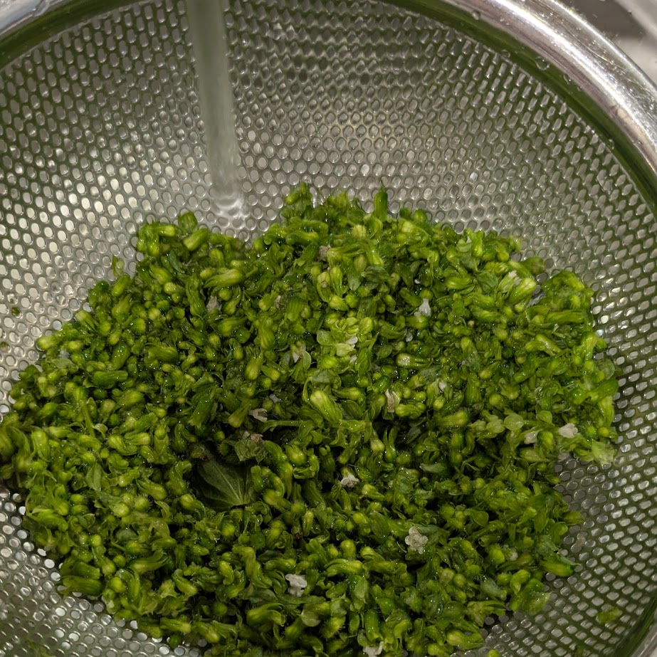 紫蘇の穂　季節の手仕事　LEE１００ コポ