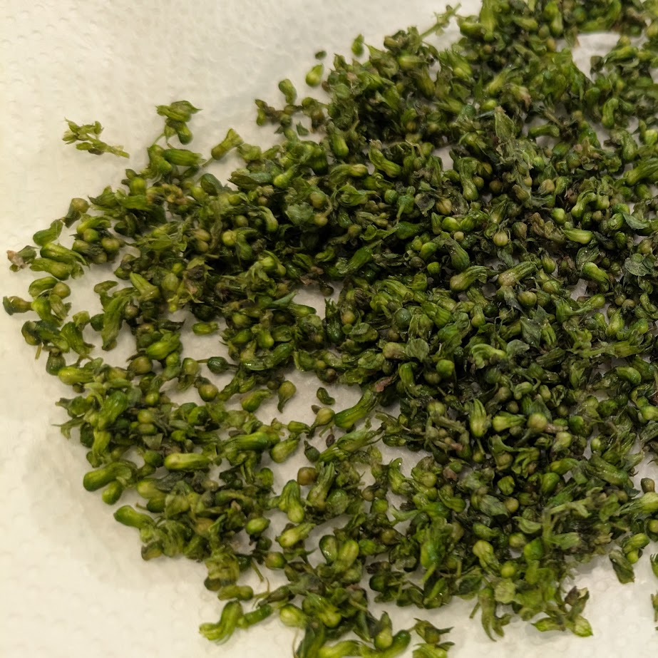 紫蘇の穂　季節の手仕事　LEE１００コポ