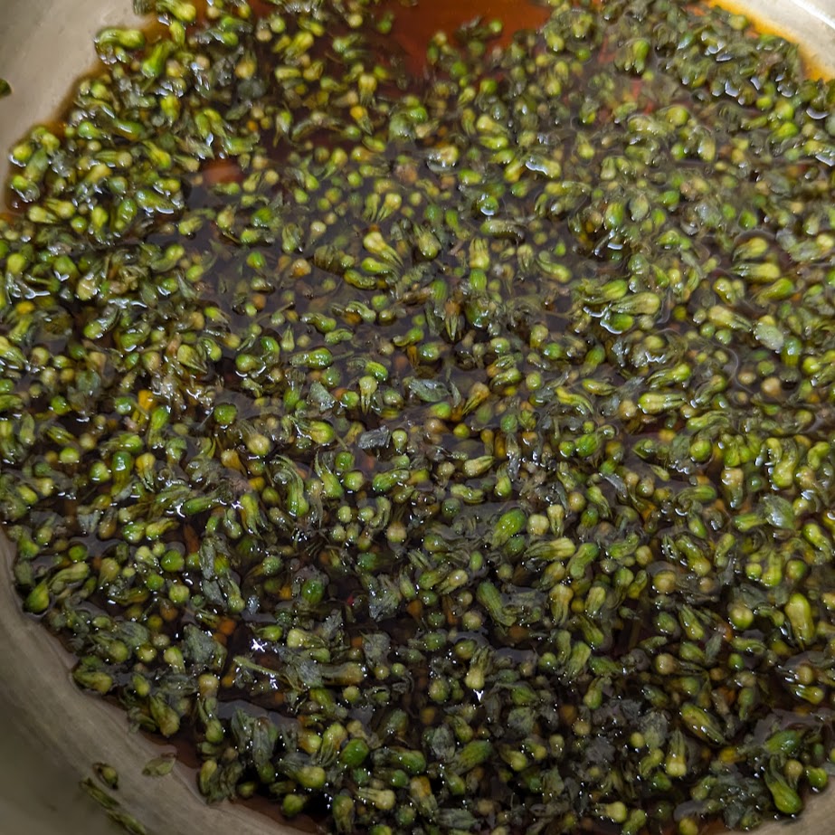 LEE１００コポ　季節の手仕事　紫蘇の穂の甘辛煮