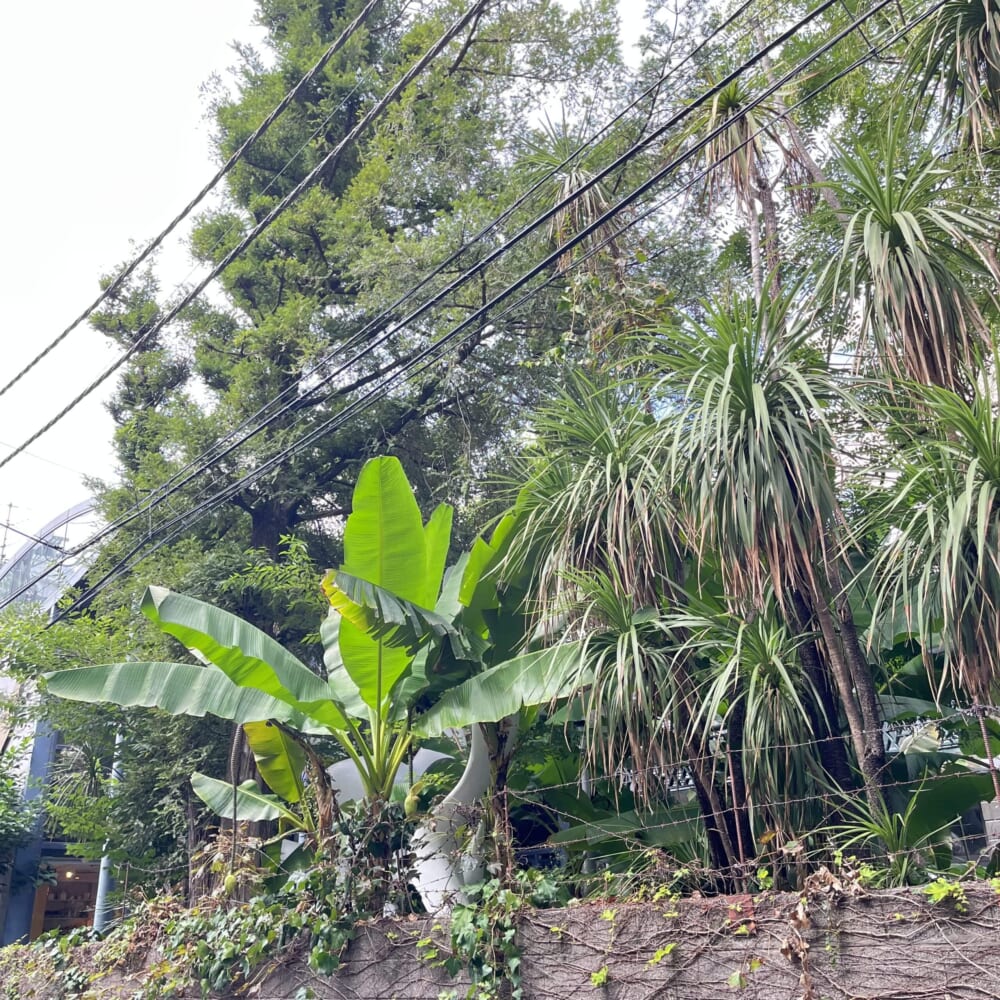 岡本太郎記念館　青山　万博
