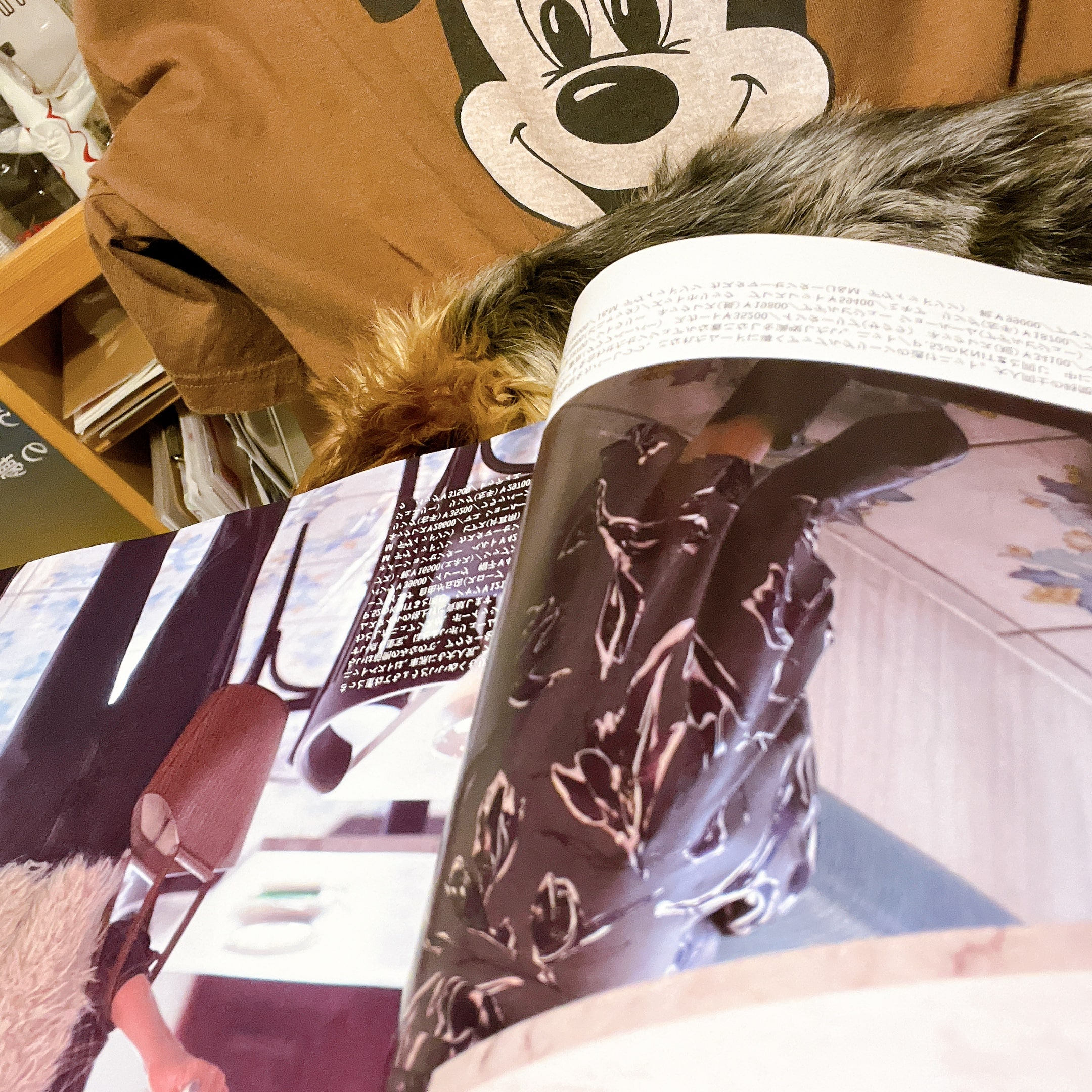 LEE最新号2025年11月号