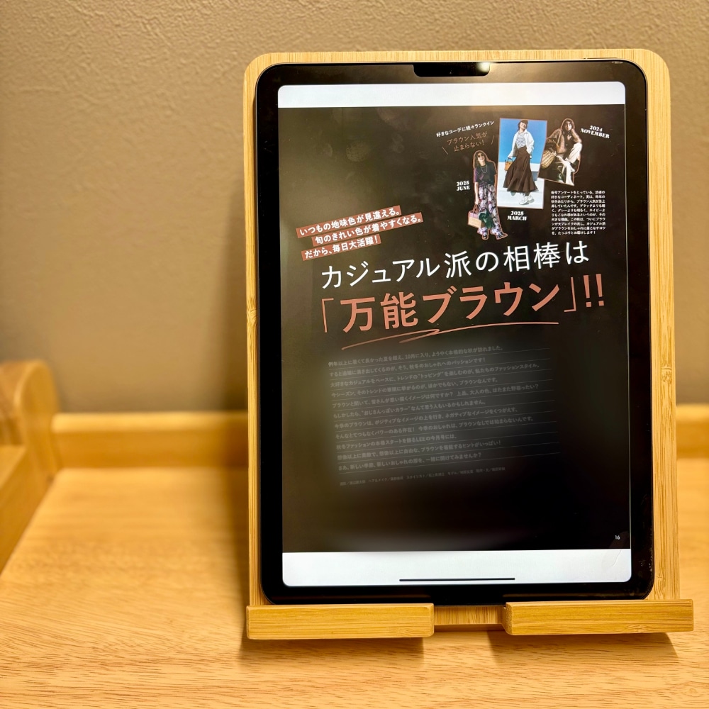 LEE11月号　2025年　ブラウン