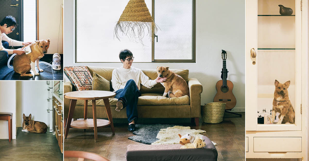 小林孝延さんと福（8歳・女の子）の「犬と暮らす部屋」