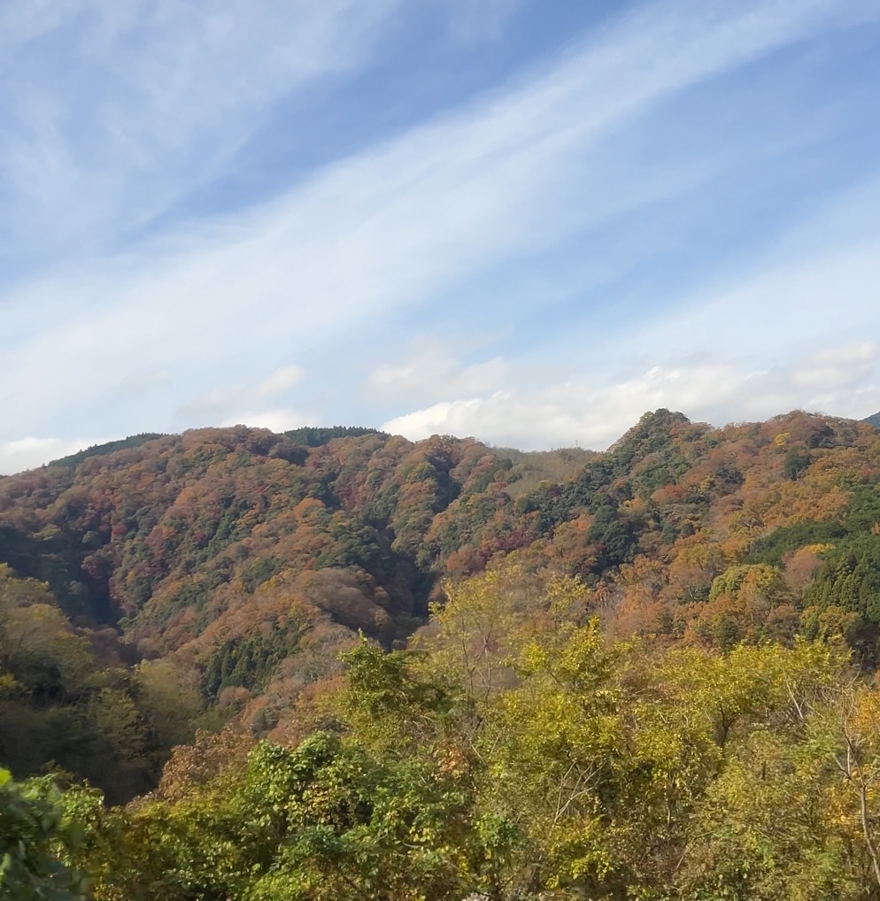 御殿場アウトレット　アウトレット　買い物　ショッピング　お出かけ　静岡
