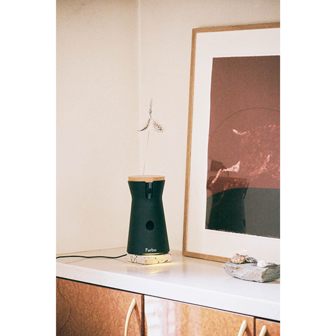 「ファーボ」のペットカメラ4台を設置、留守中も安心。