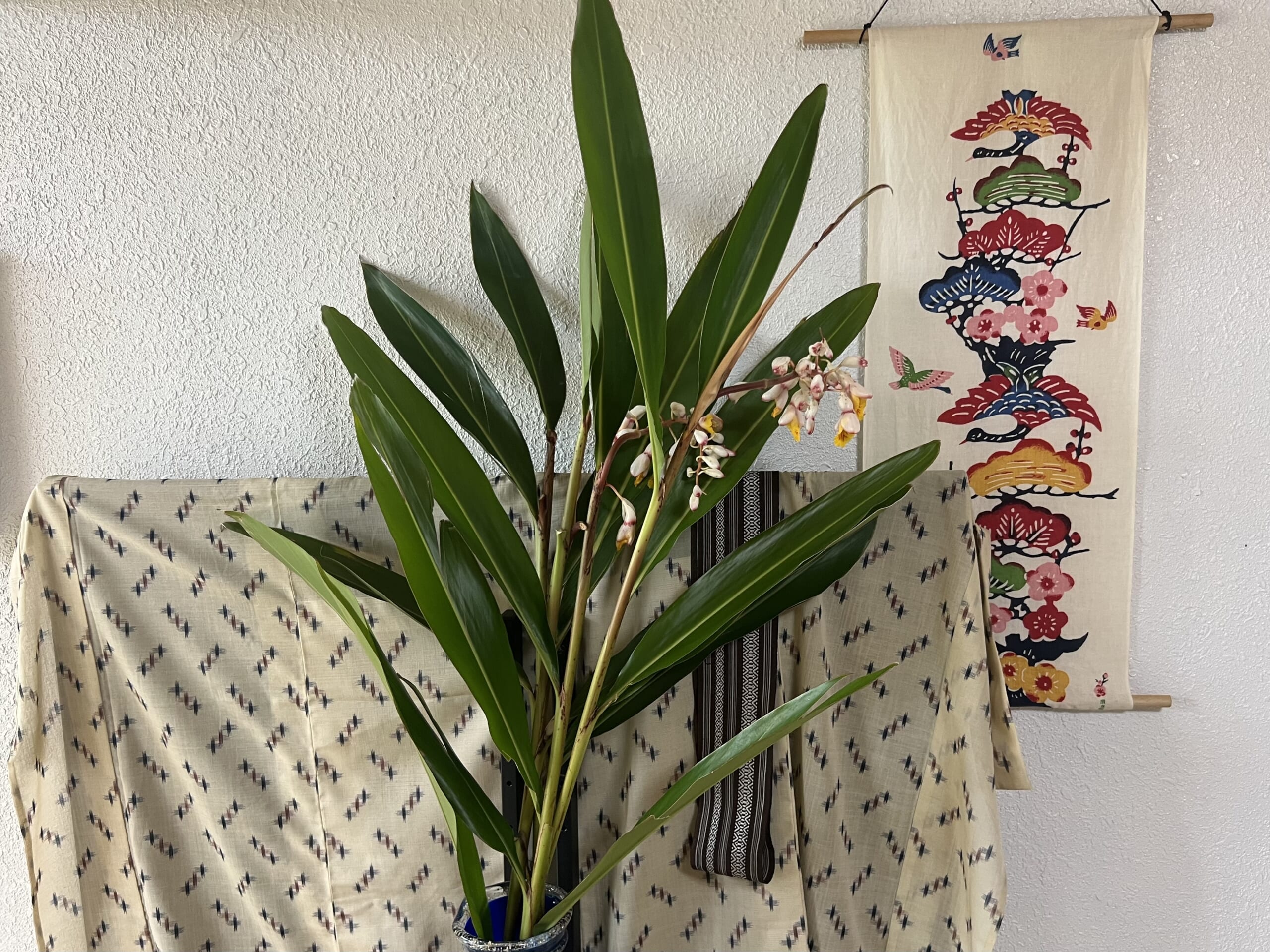 10月17日は「沖縄そばの日」!崎濱製麺さんに行ってきました TB icoco